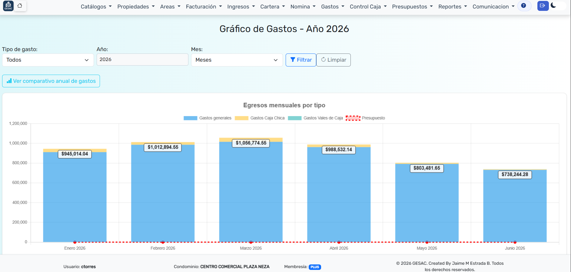Gráfico de gastos